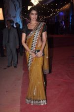 Bipasha Basu at Stardust Awards red carpet in Mumbai on 10th Feb 2012 (237).JPG